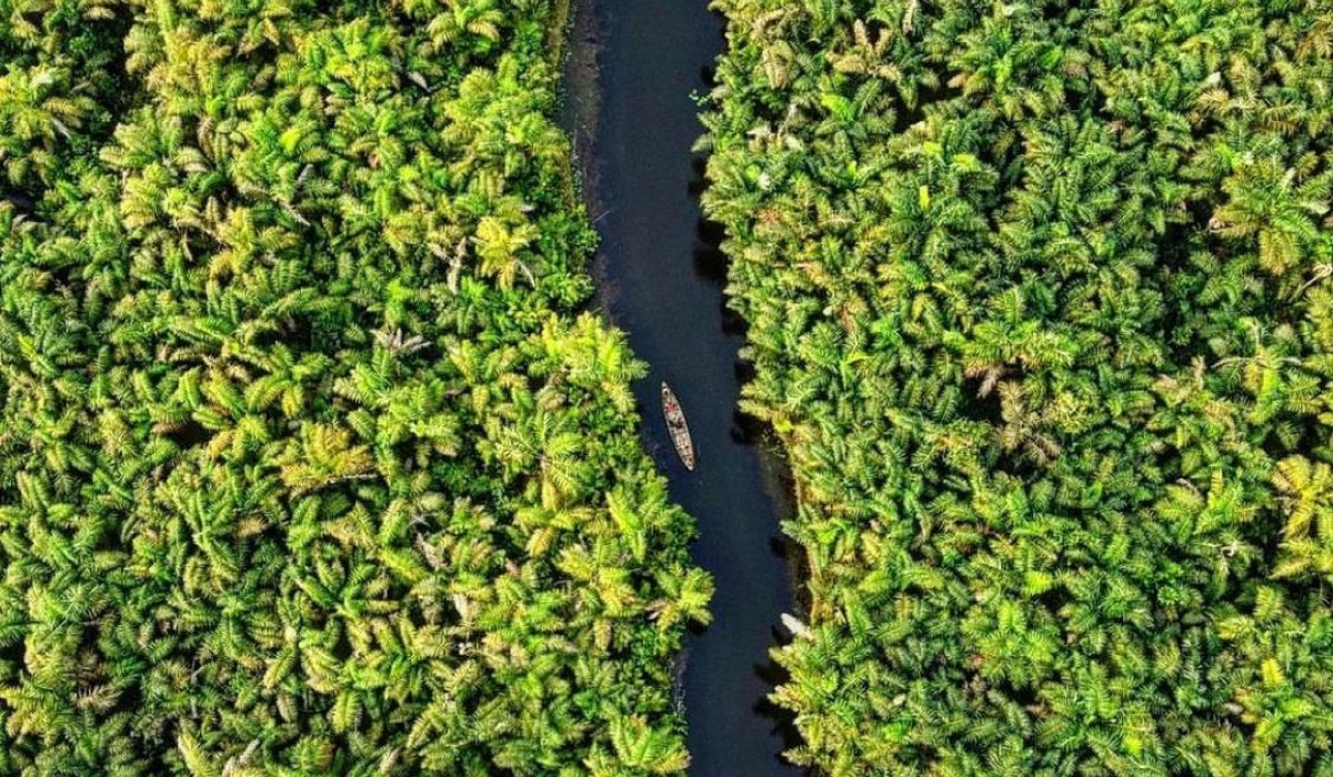La rivière au milles merveilles